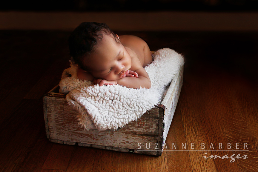 Memphis TN Newborn Photographer