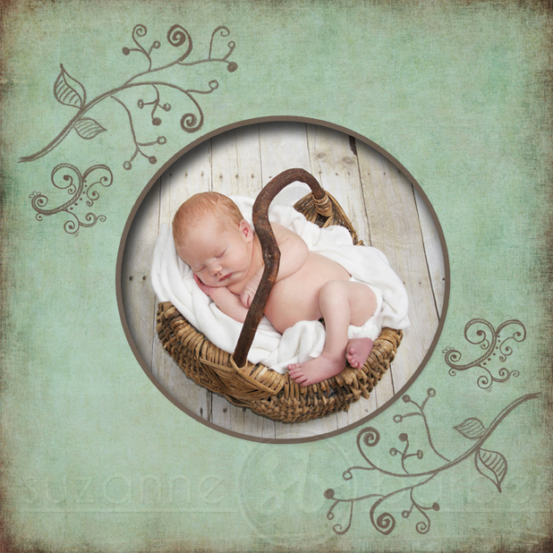 Memphis TN Newborn Baby Photographer